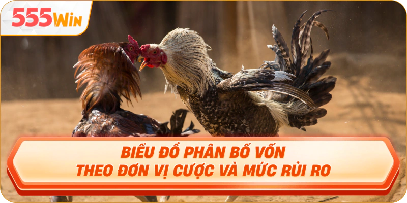 Biểu đồ phân bổ vốn theo đơn vị cược và mức rủi ro